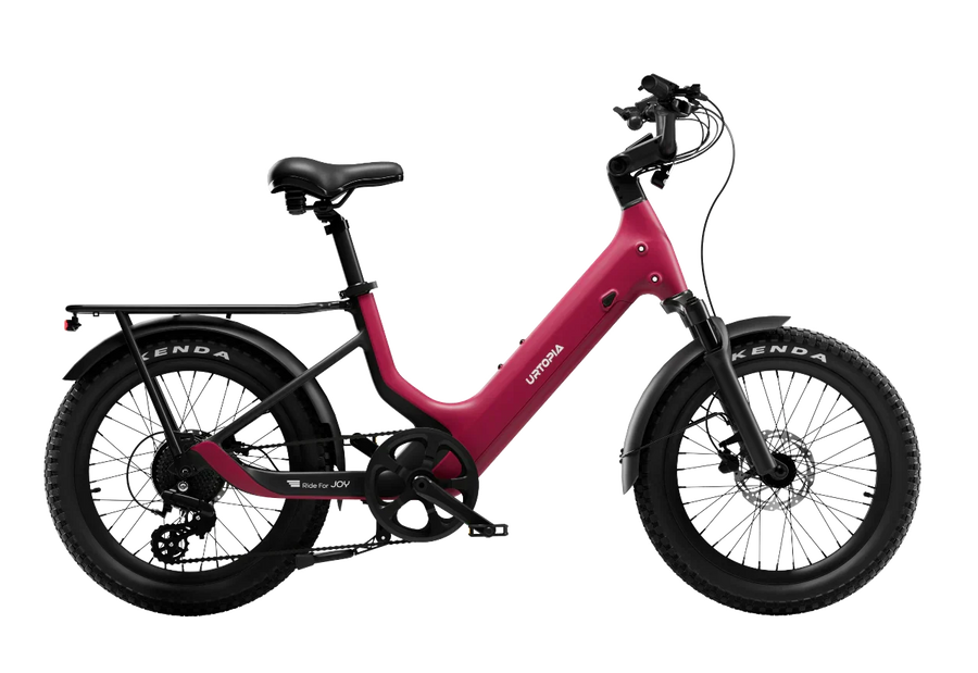 Joy Carbon